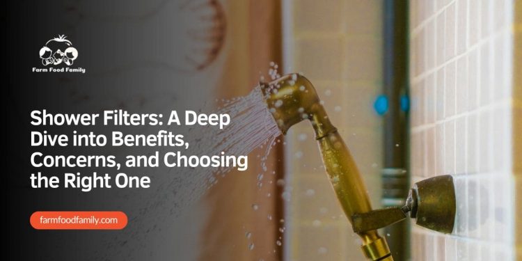 Bathe Filters: A Deep Dive into Advantages, Considerations, and Selecting the Proper One