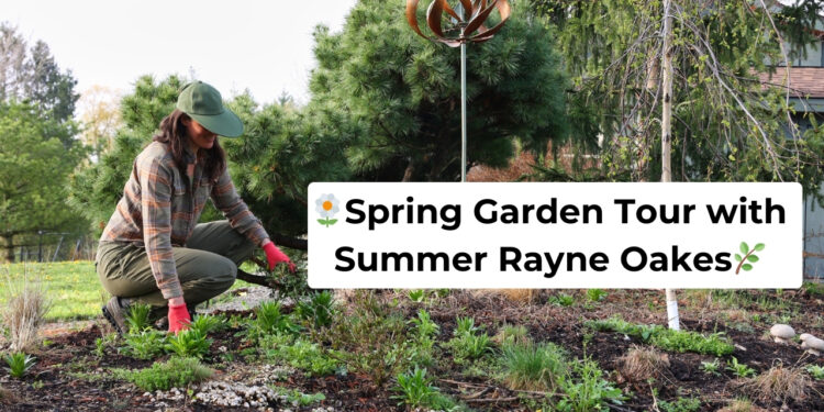 VIDEO: SPRING GARDEN TOUR🌼🌿🌷with Summer season Rayne Oakes