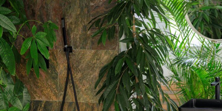 Flip Your Rest room Into A Rainforest With These 6 Bathe Vegetation