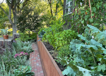 Claire’s Backyard Renovation in Minneapolis