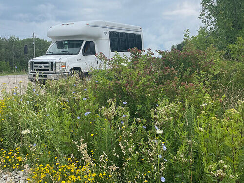 GPOD on the Street: Canadian Wildflowers