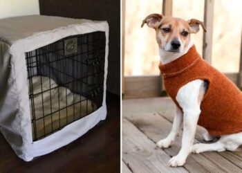 34 Canine Stitching Patterns (Equipment, Toys, Garments)