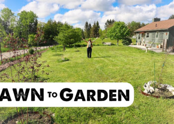 VIDEO: Designing a NEW Backyard with Summer time Rayne Oakes