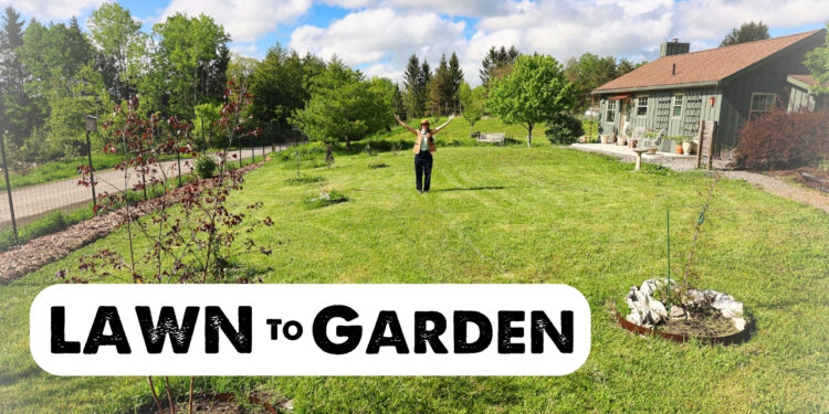 VIDEO: Designing a NEW Backyard with Summer time Rayne Oakes