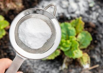 Does Baking Soda Kill Weeds? Truth Vs. Fiction