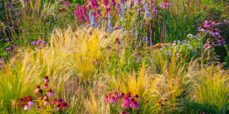 7 Decorative Grasses For Attractive Texture & Soothing Sounds