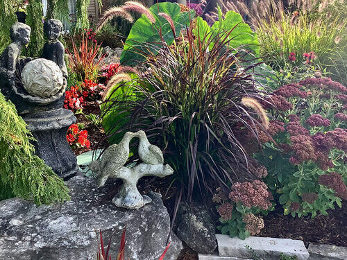 Alice Says Goodbye to a Particular Backyard: Half 1