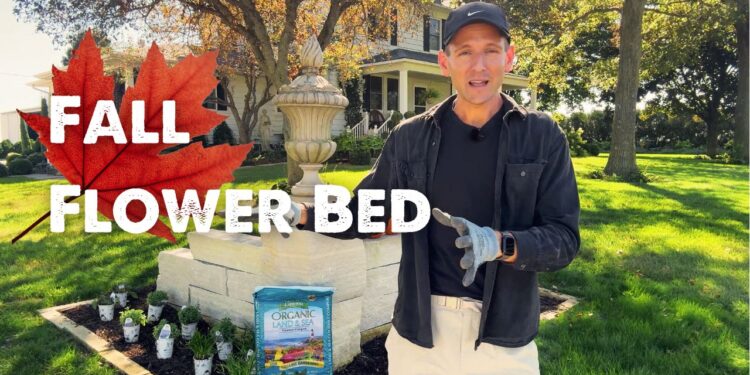 Planting a Fall 🍂 Flower Mattress 🪻with Wyse Information
