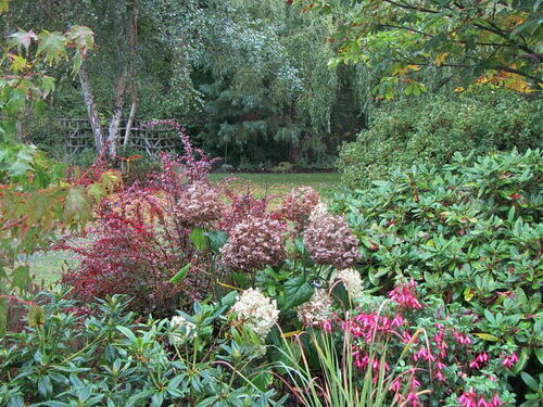 A Few Favourite Fall Gardens from GPOD