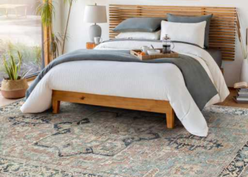 My More and more Irritating Search For A Bed room Space Rug