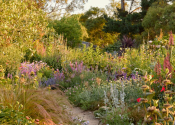 8 Stunning Gardens To Encourage Your Inexperienced Thumb From 2024