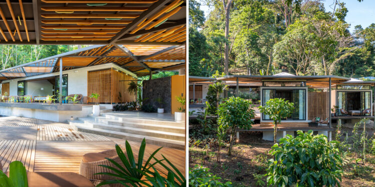 Caribbean Modernism: Tropical Design Evolves for the twenty first Century