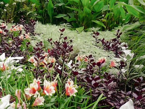 GPOD on the Street: Behind the Scenes at Coastal Maine Botanic Backyard, Half 1