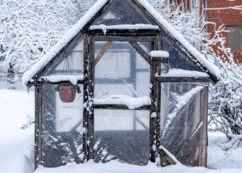Prep Your Greenhouse For Winter – To Maintain Rising All 12 months