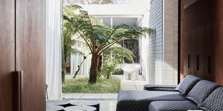 A Up to date Sanctuary within the Coronary heart of Prahran