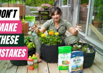 VIDEO: 6 Container Gardening MISTAKES | Rising Pleasure with Maria