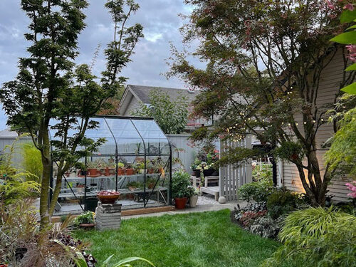 Cherry’s Small House Backyard and Greenhouse Expertise, Half 7